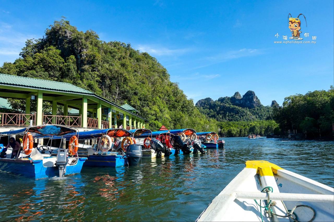 Jelajahi Mangrove Tour Langkawi: Petualangan Alam yang Menakjubkan