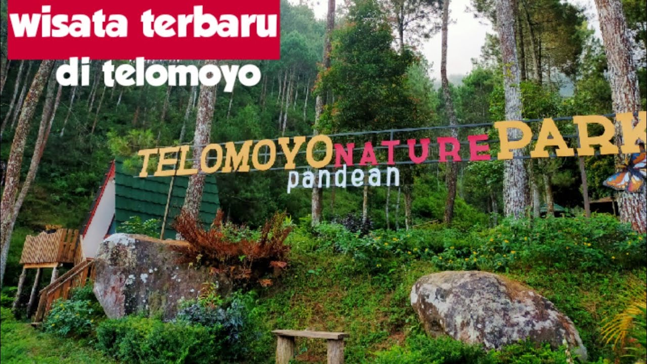 Telomoyo Nature Park: Menikmati Keindahan Alam di Lereng Gunung Merapi